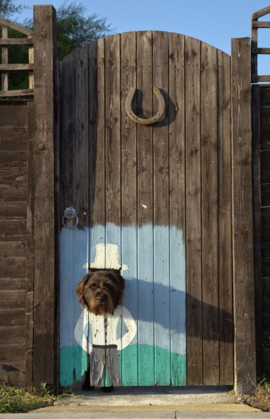 building a dog fence